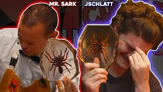 Schlatt Is Truly Inspired By Mr Sark [upl. by Grubb431]