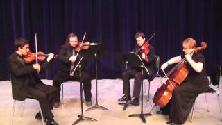 St Louis String Quartet  Classical Wedding Ceremony Music  The Matt McCallie Orchestra [upl. by Kinom]