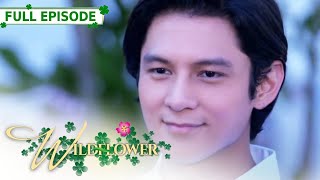 ENG SUB Ep 252  Wildflower  Maja Salvador Tirso Cruz III Aiko Melendez [upl. by Sharla406]