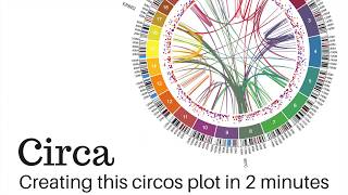 Creating this circos plot in 2 minutes with Circas new features [upl. by Siberson]