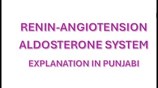 RENINANGIOTENSIN ALDOSTERONE SYSTEM NCLEX rn rpn nurse [upl. by Zebadiah715]