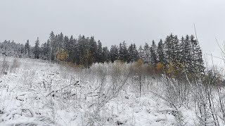 Novemberschnee im HochSauerland • Ende November 2024 [upl. by Ekusuy292]