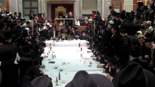 PURIM AT CHAIM BERLIN [upl. by Suivat]