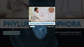 biology phylumctenophora phylum neet teaching motivation kkacademy shorts class11 [upl. by Iel]