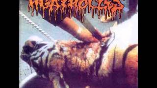 Agathocles  All Gone [upl. by Rasmussen651]