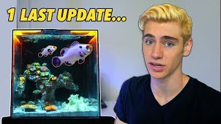 I have an Announcement MY FINAL TANK UPDATE [upl. by Ailimaj]