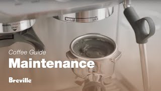 The Barista Express®  How to perform a cleaning cycle on your espresso machine  Breville USA [upl. by Aurilia]