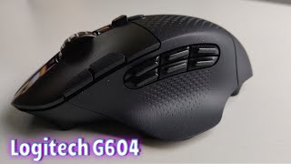 Logitech G604 Lightspeed Mouse Review  Best Moba MMO Mouse [upl. by Atenahs104]