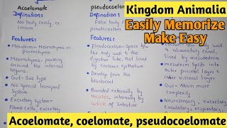 Acoelomate  Coelomate  Pdeudocoelomate  Kingdom Animalia  Class 11 [upl. by Docilla256]