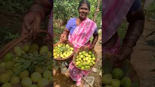 அங்க வாங்கி அங்கேயே குடுக்கிறேன் ✅இயற்கைக்கு நன்றி💚🙏Home garden vlognaturehealthylivingshorts [upl. by Aietal]