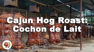 Cajun Hog Roast Cochon de Lait Festival [upl. by Lathrop]