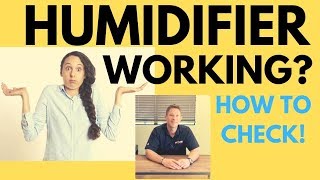 How to Check if Your Humidifier is Working Plus how often to change humidifier filter [upl. by Lail12]