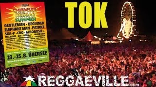 TOK  Gi Gi Winer  Chiemsee Reggae Summer 2013 August 23rd [upl. by Dore]