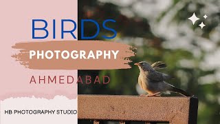 Birds Photography in Ahmedabad Kanjari  4K Video Vlog  HB Photography Studio [upl. by Alard]