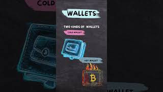 What Are Crypto Wallets crypto cryptocurrency cryptowallet [upl. by Ytinirt84]