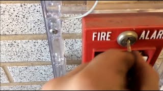 Fire Alarm Test at a Local High School [upl. by Chesney3]