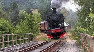 Steam trains in Sweden 2008 [upl. by Papst]