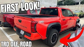 ITS HERE Our FIRST LOOK at the 2024 Tacoma TRD OffRoad [upl. by Ecyob]