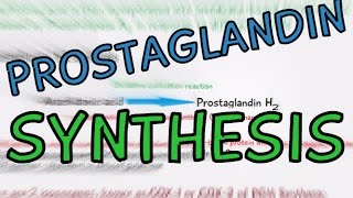 Biochemistry Help Prostaglandin Synthesis explained in 4 Minutes How are Prostaglandins made [upl. by Idas803]