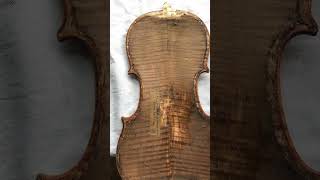 Скрипка Antonius Stradivarius Ceromonensis Faciebat Anno 1735 [upl. by Eda89]