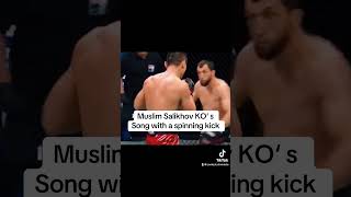 Muslim Salikhov vs Song spinning kick KO ufc mma [upl. by Imuya]