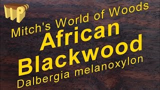 African Blackwood dalbergia melanoxylon  Mitchs World of Woods [upl. by Alister849]