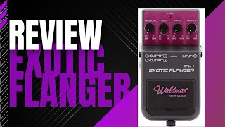 REVIEW EXOTIC FLANGER  WALDMAN [upl. by Rolfe138]