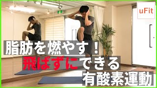 【有酸素運動】静かに自宅でできる有酸素運動！飛ばない「脂肪がすぐに燃える」ダイエット [upl. by Relyc]