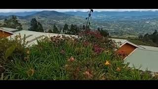 Rondon Ridge Lodge  Mount Hagen  Papua New Guinea  Buhay Ofw [upl. by Kerianne]