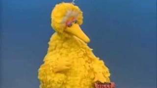 Sesame Street  Big Bird listens [upl. by Kolb241]