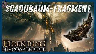 Finde alle 50 ScadubaumFragmente im ELDEN RING DLC  Elden Ring DLC Guide [upl. by Lau949]