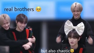 chenle is kun’s baby  HAPPY CHENLE DAY [upl. by Akilak]