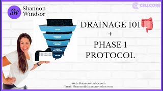 Drainage 101 and Phase 1 of Cellcore [upl. by Nwahsat]