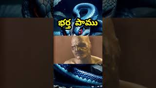 😳movie explained Telugu movieexplained movie Telugu shorts telugushorts telugu [upl. by Ecirtaed]