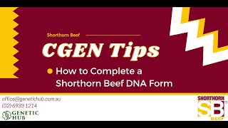 Shorthorn Beef Australia CGEN Tips How to Complete a Shorthorn Beef DNA Form [upl. by Bridges340]