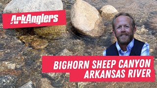 ArkAnglers Arkansas River Fishing Report Bighorn Sheep Canyon Colorado March 20 2024 [upl. by Dnalyar62]