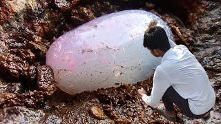 How to dig red gemamethysts and Red agate crystals in the deep forest [upl. by Kcolttam]