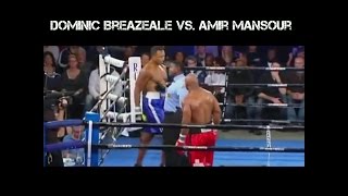 Dominic Breazeale vs Amir Mansour Highlights 2016 [upl. by Xet]