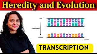 HEREDITY AND EVOLUTION  PART 4  CLASS 10  MAHARASHTRA BOARD [upl. by Web]