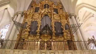 CATEDRAL DE TOLEDO [upl. by Ilagam]