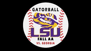 GATORBALL 2024 FALL AA LSU VS GA [upl. by Noeruat735]