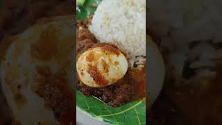 Nasi Lemak Rendang  AllStar Food Court Bt9 Kuching Sarawak [upl. by Jegar]