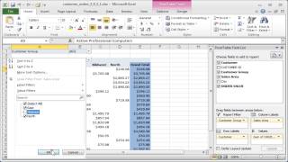 Excel pivot filter Filtering data in a pivot table [upl. by Esdnyl]