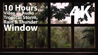 4K 10 hours  Tropical Storm Window with Rain amp Thunder  relaxation meditation nature [upl. by Eibob]