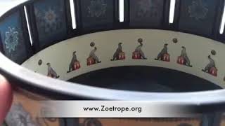 Zoetrope Animation Toy of Seals  Zoetrope [upl. by Adnamor797]