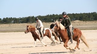 Tölt am Nordseestrand mit PFERD amp REITER [upl. by Ahab]