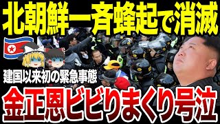 【ゆっくり解説】北朝鮮建国以来初の緊急事態！止められない体勢崩壊にビビりまくる金正恩。ついに軍が反旗を翻す！？ [upl. by Novyart]