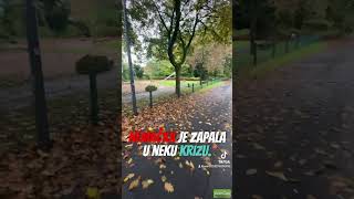 Zivot Vo Germanija nema rabota [upl. by Walls]