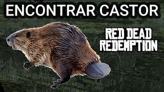 Donde encontrar CASTORES en Red Dead Redemption 1✔️ [upl. by Yeslah542]