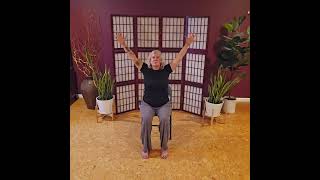 Chair Yoga Lower Back Reset [upl. by Rekrap]